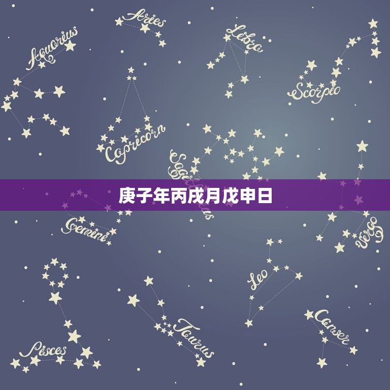 庚子年丙戌月戊申日，庚子年丙戌月戊申日生辰八字