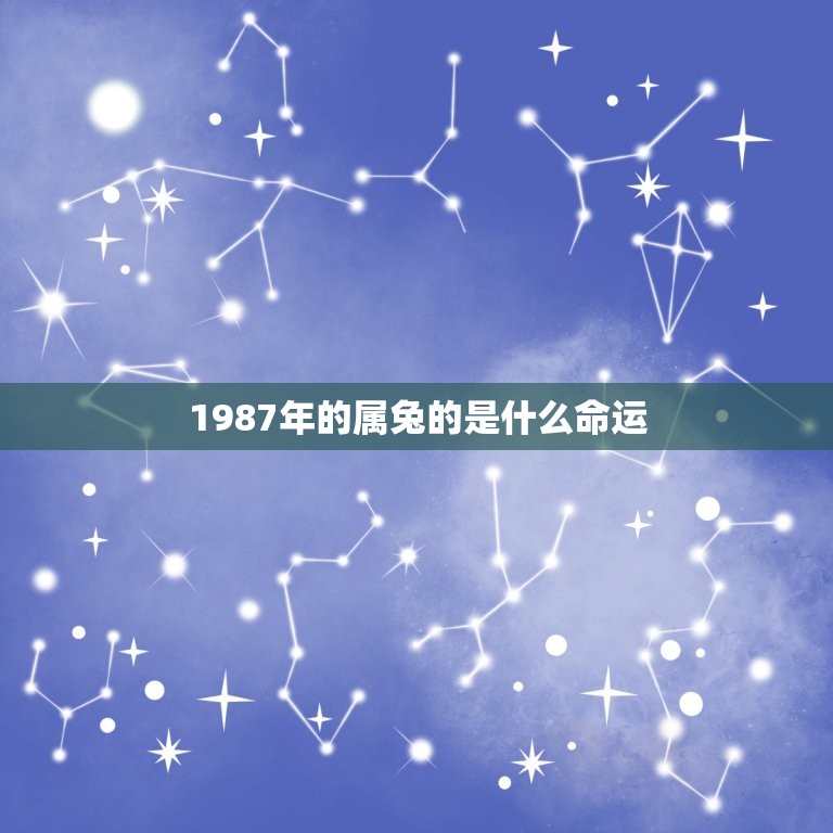 1987年的属兔的是什么命运