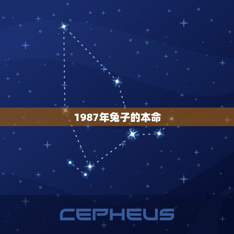 1987年兔子的本命