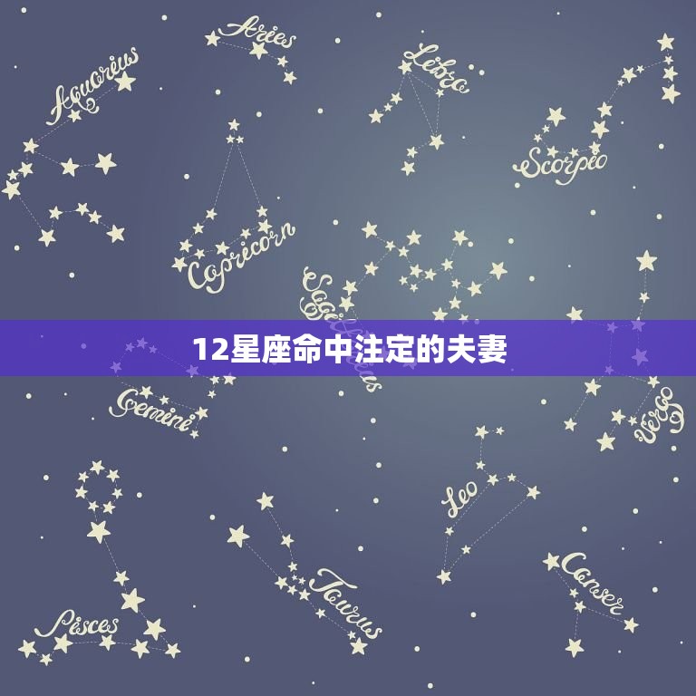 12星座命中注定的夫妻，双子座命注定的夫妻