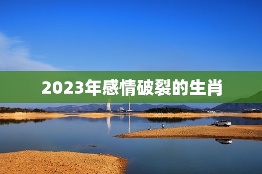 2023年感情破裂的生肖，2023年12生肖运势解析