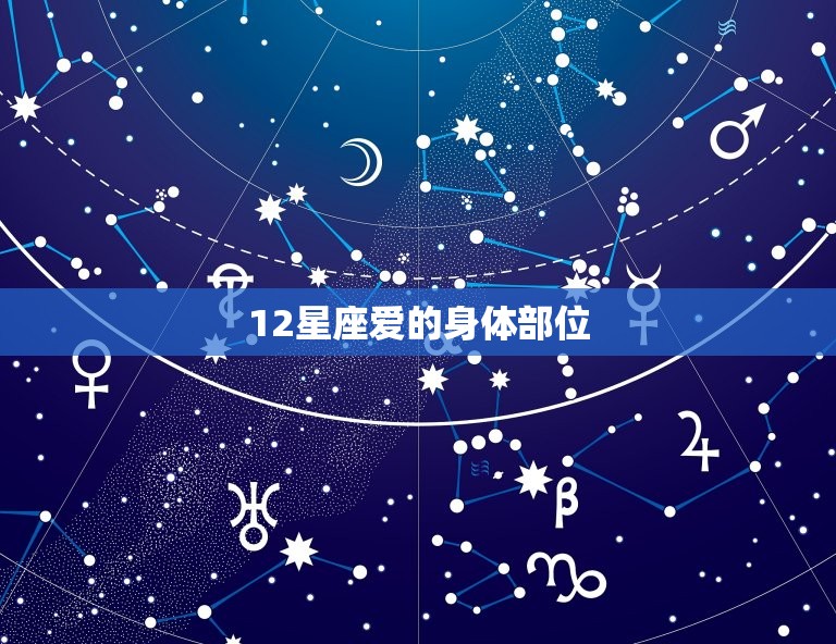 12星座爱的身体部位，十二星座谁的身体