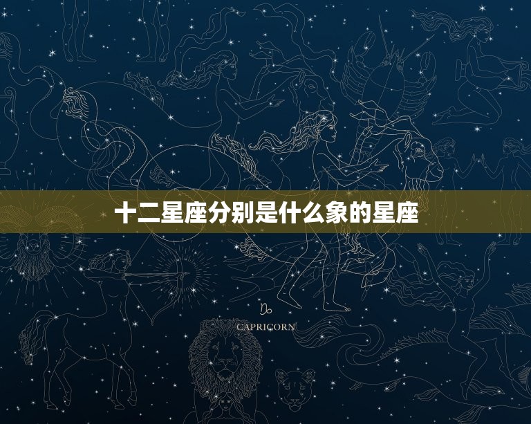 十二星座分别是什么象的星座，十二星座哪个星座是王