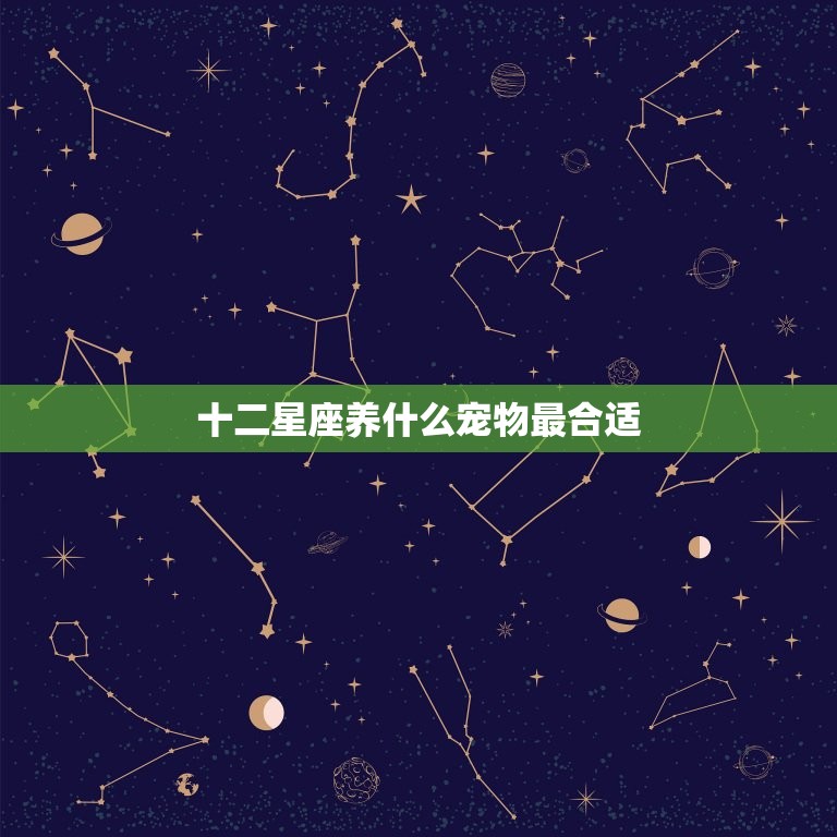 十二星座养什么宠物最合适，十二星座的幸运颜色