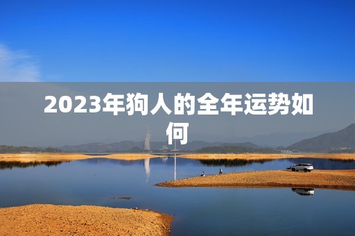 2023年狗人的全年运势如何，2023 年狗人全年运程