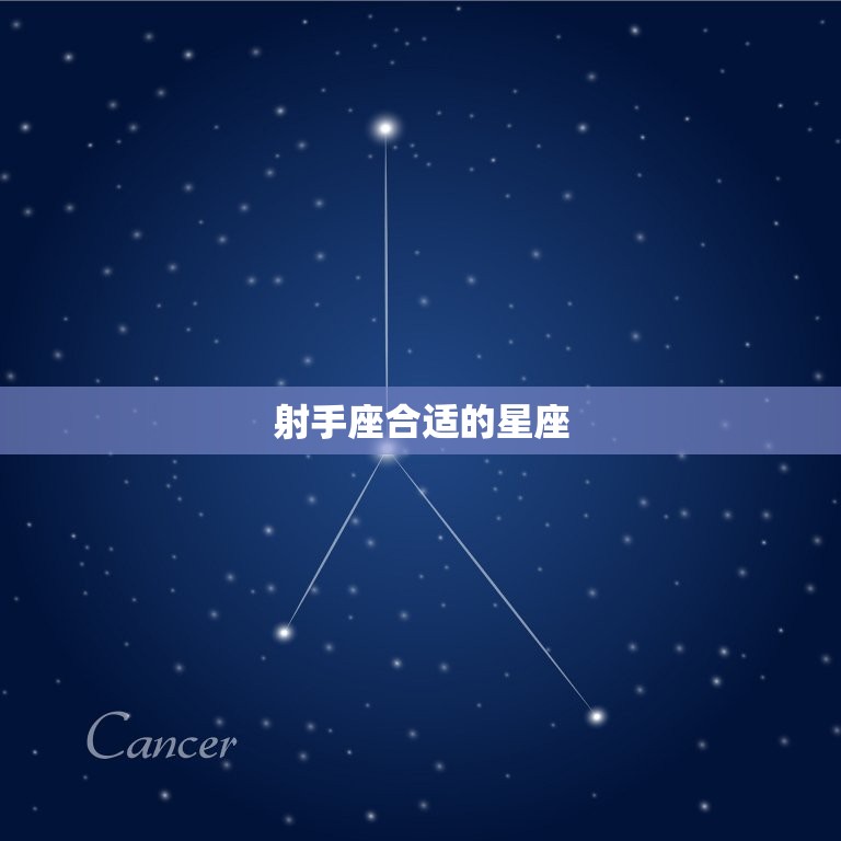 射手座合适的星座，射手座和哪个星座最笨