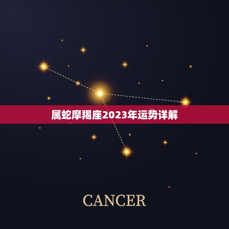 属蛇摩羯座2023年运势详解，摩羯座2023年运势大变