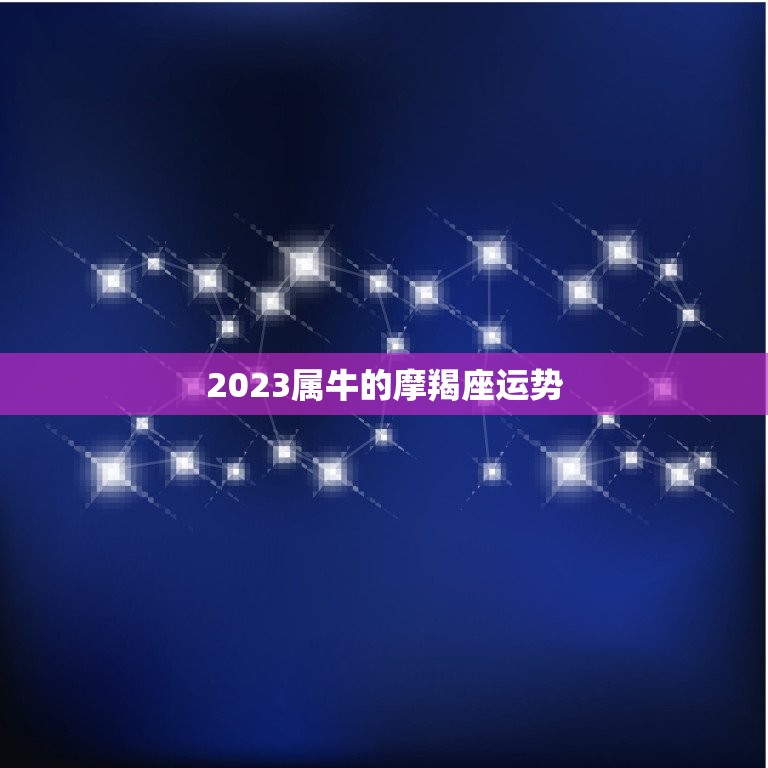 2023属牛的摩羯座运势，摩羯座12月运势2023