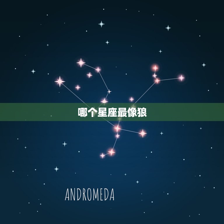 哪个星座最像狼，十二星座代表九尾动物