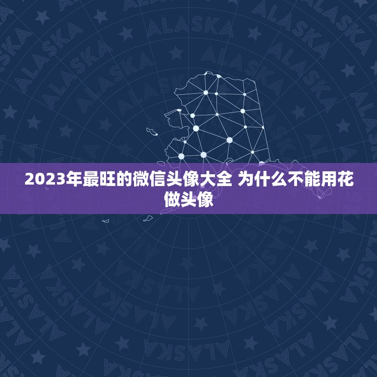 2023年最旺的微信头像大全 为什么不能用花做头像