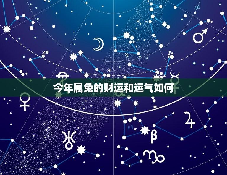 今年属兔的财运和运气如何(2023属兔人的运势分析)