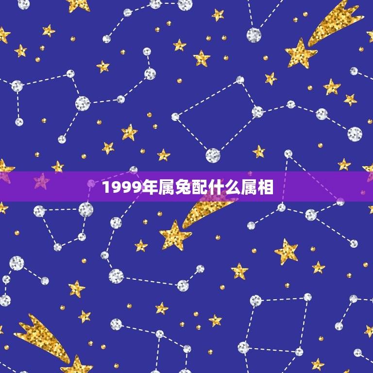 1999年属兔配什么属相(十二生肖配对指南)