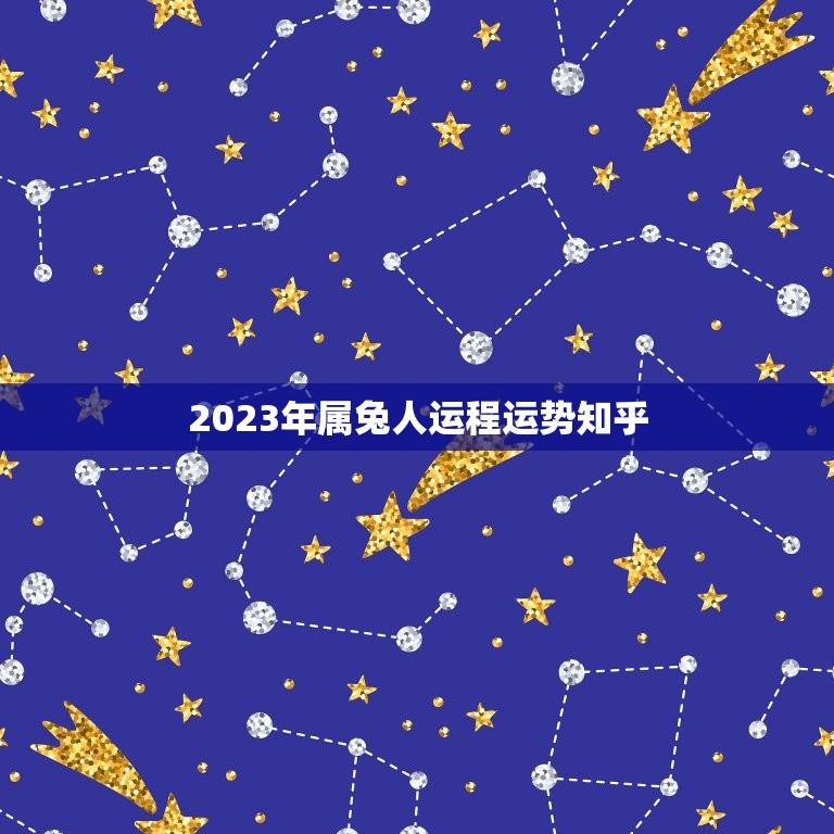 2023年属兔人运程运势知乎(详解属兔人2023年运势预测)