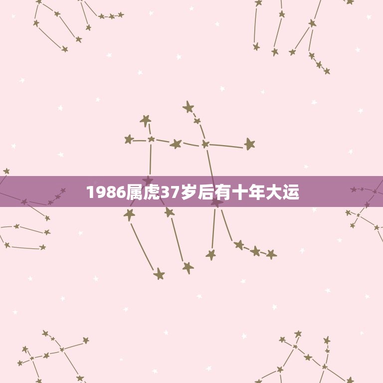 1986属虎37岁后有十年大运(如何抓住机遇迎接好运)