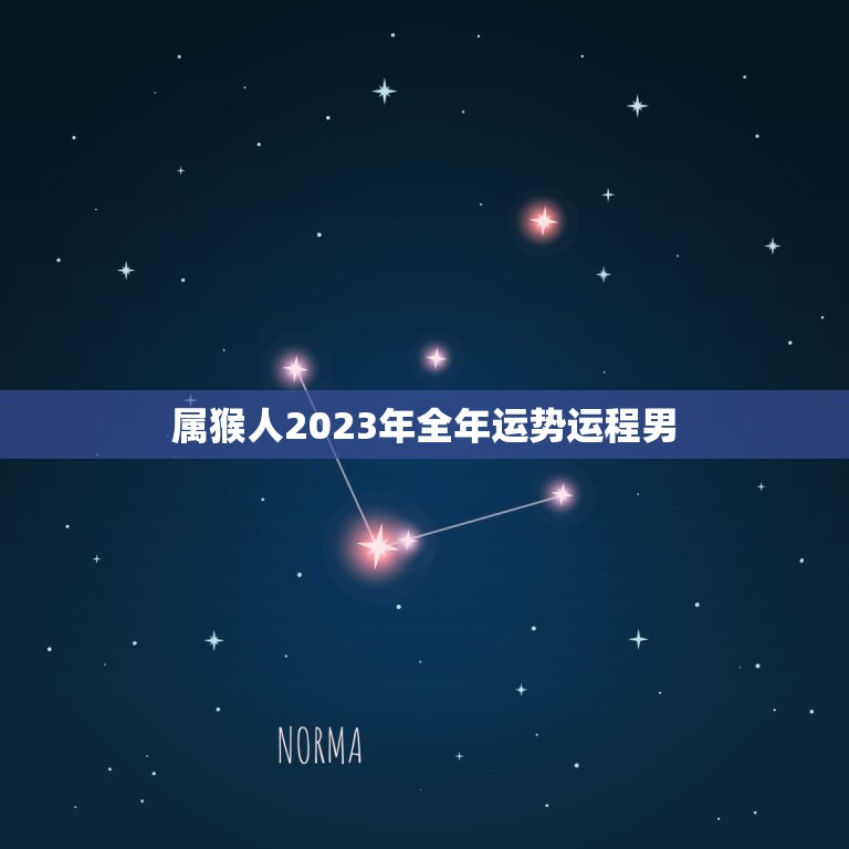 属猴人2023年全年运势运程男(幸运星高照财运亨通)