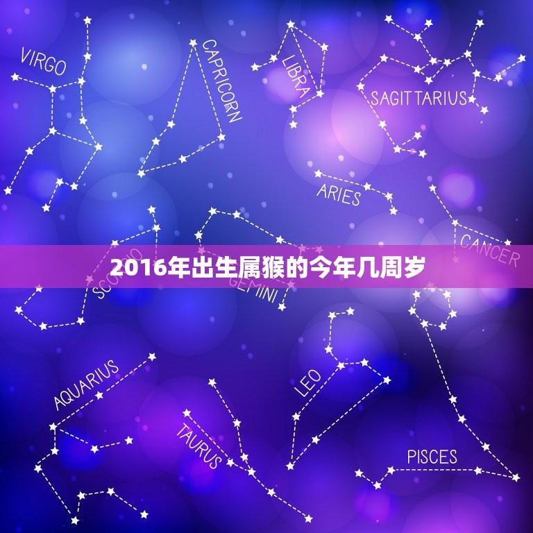 2016年出生属猴的今年几周岁(小猴子迎来五岁生日)