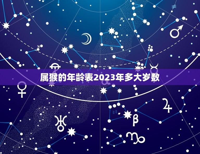 属猴的年龄表2023年多大岁数(猴年将至你知道自己的年龄吗)