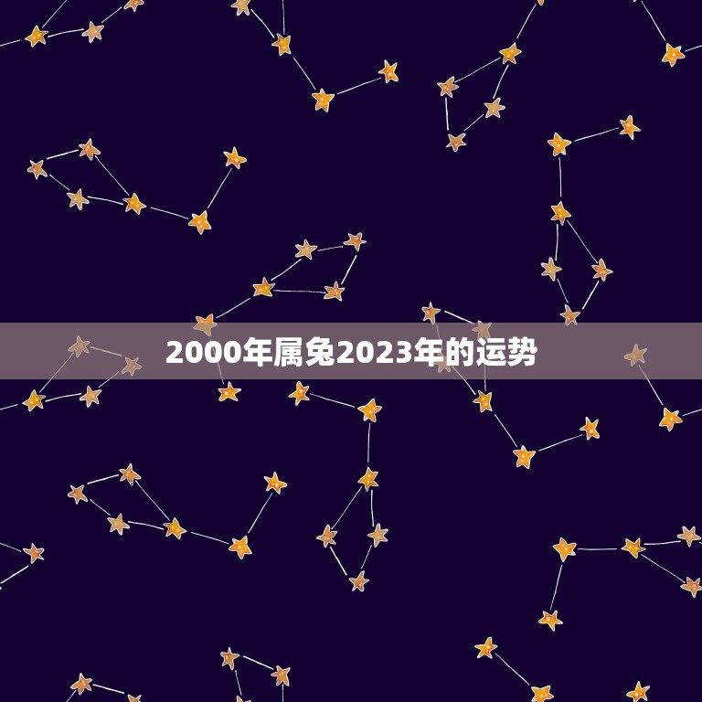 2000年属兔2023年的运势(兔子的未来之路)