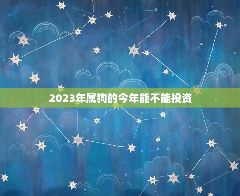 2023年属狗的今年能不能投资(如何规避风险)