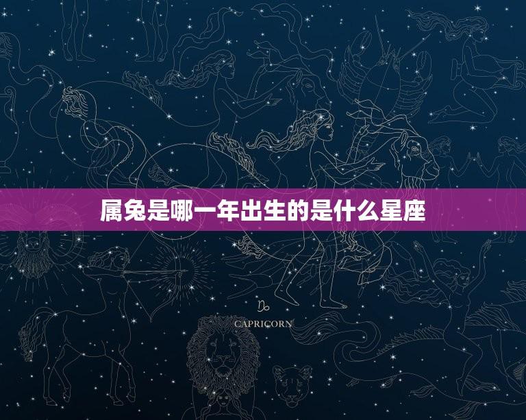 属兔是哪一年出生的是什么星座(介绍属兔人的星座特点)