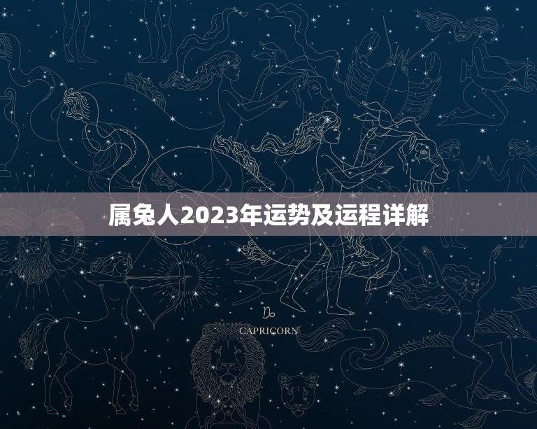 属兔人2023年运势及运程详解(好运连连财源滚滚)