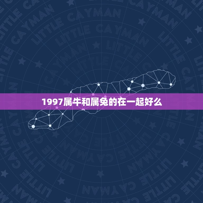 1997属牛和属兔的在一起好么(星座配对分析)