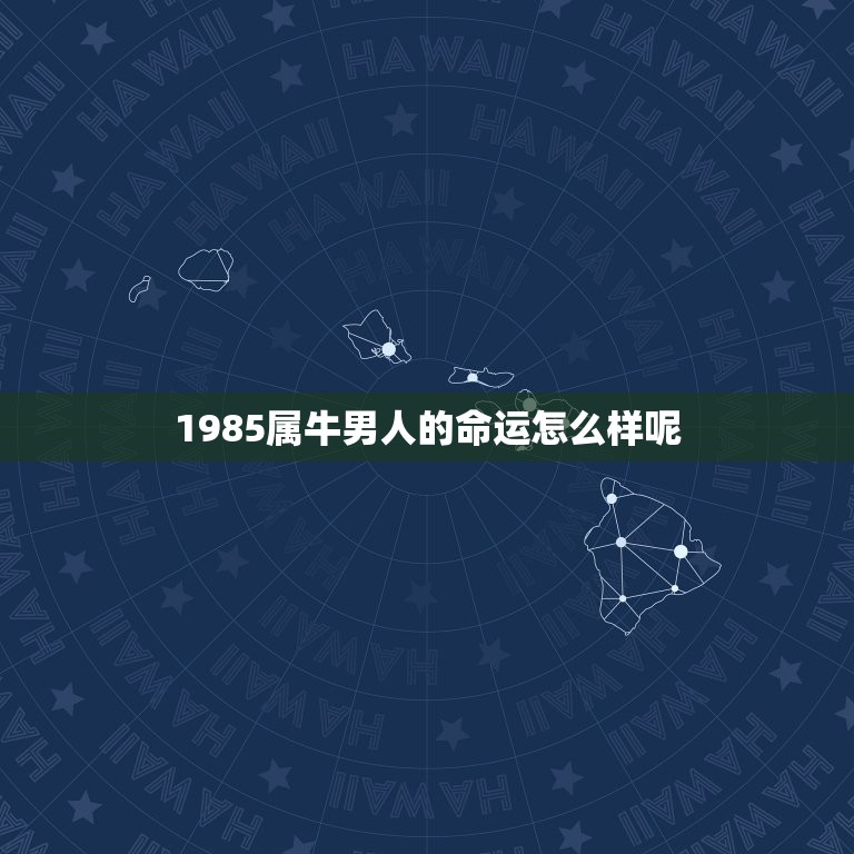 1985属牛男人的命运怎么样呢(介绍职场、财运、感情、健康)