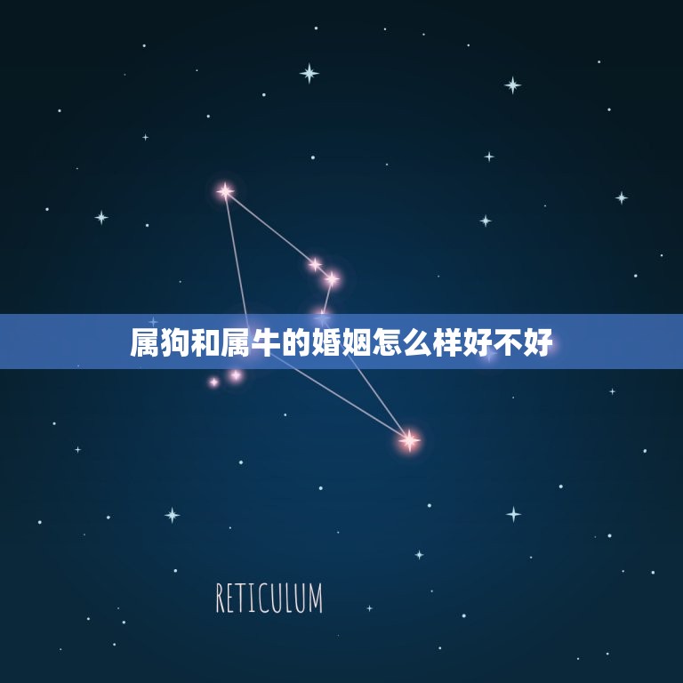 属狗和属牛的婚姻怎么样好不好(介绍星座配对是否靠谱)