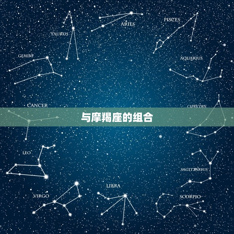 与摩羯座的组合