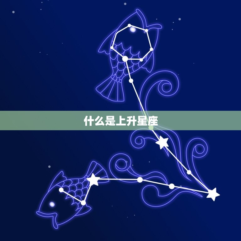 什么是上升星座