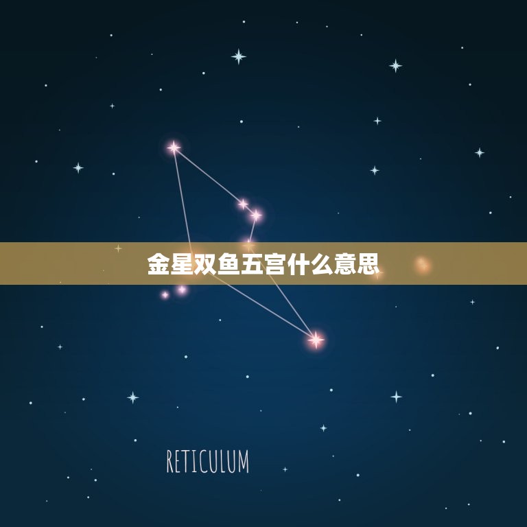 金星双鱼五宫什么意思