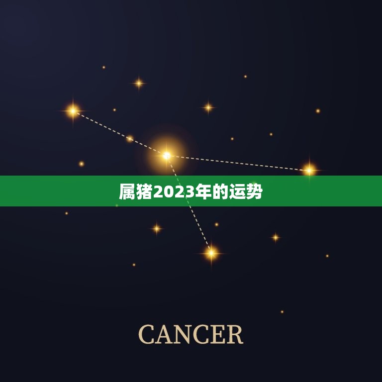 属猪2023年的运势