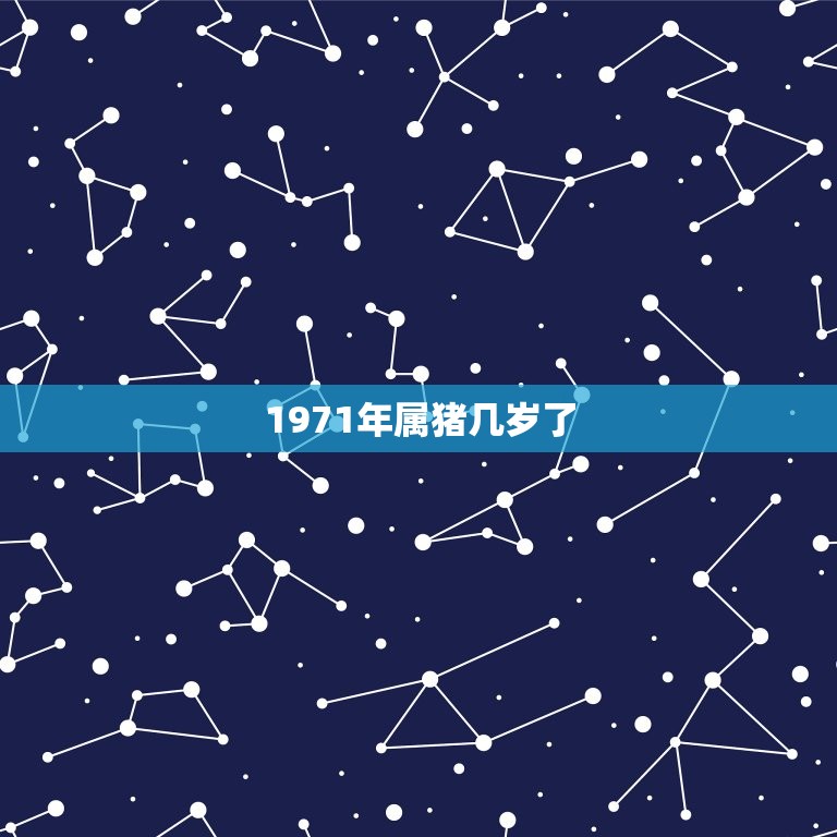 1971年属猪几岁了