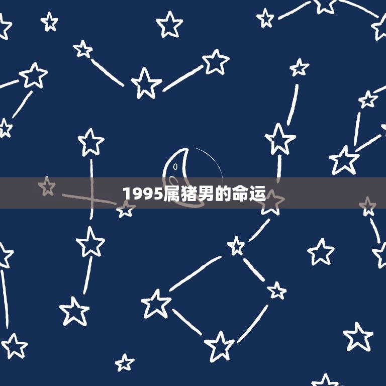 1995属猪男的命运