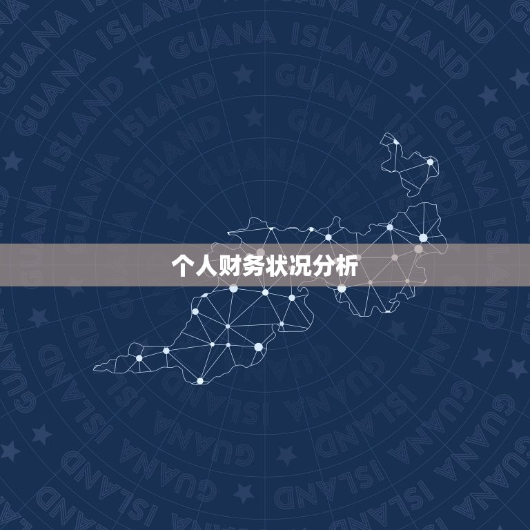 个人财务状况分析