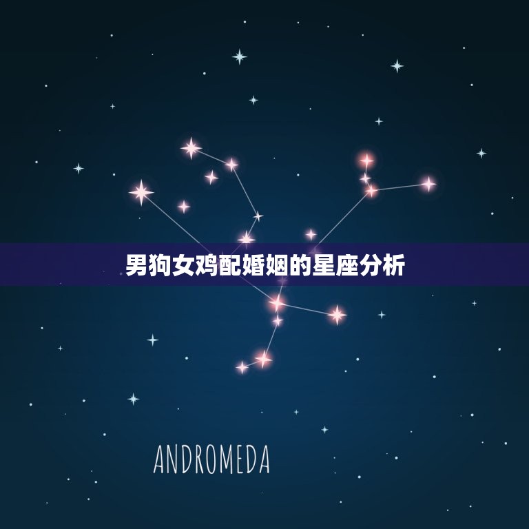 男狗女鸡配婚姻的星座分析