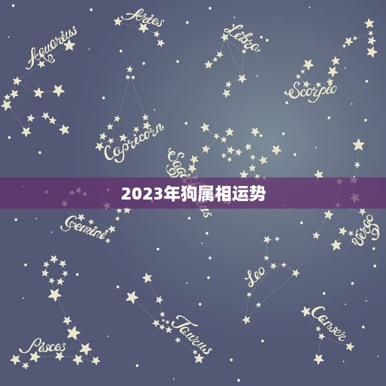 2023年狗属相运势