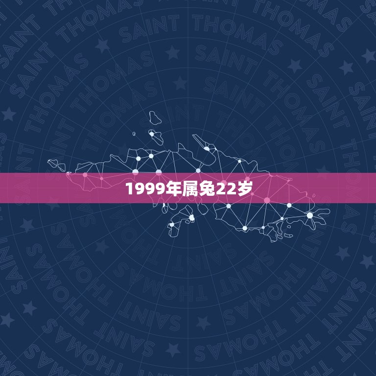 1999年属兔22岁