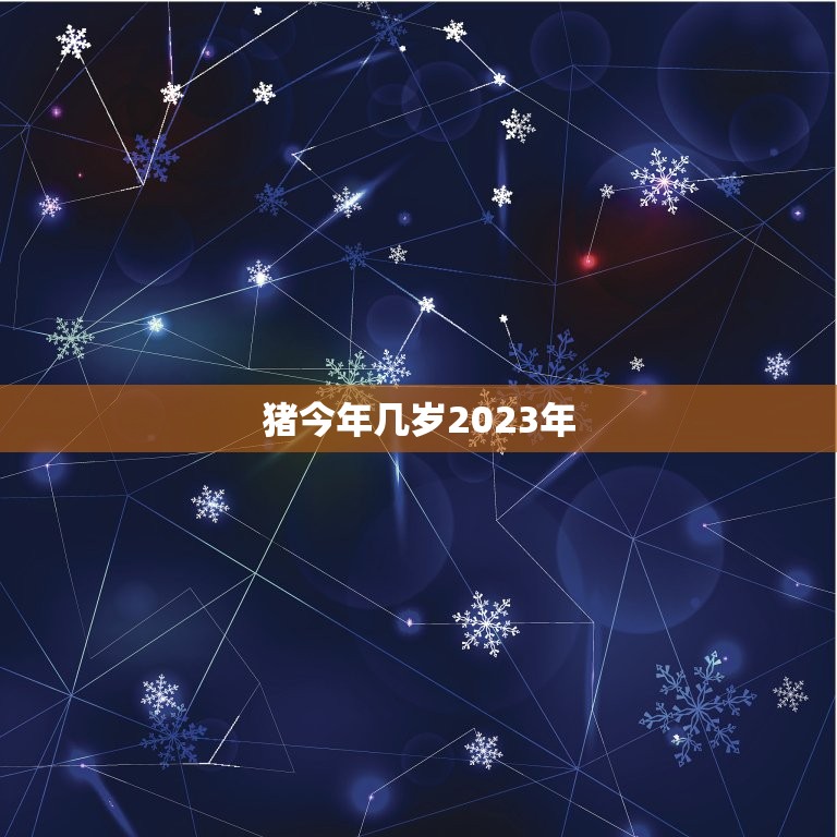 猪今年几岁2023年