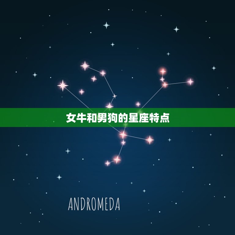 女牛和男狗的星座特点