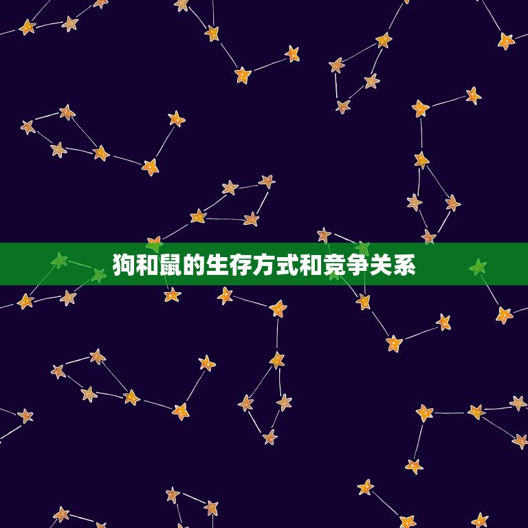 狗和鼠的生存方式和竞争关系