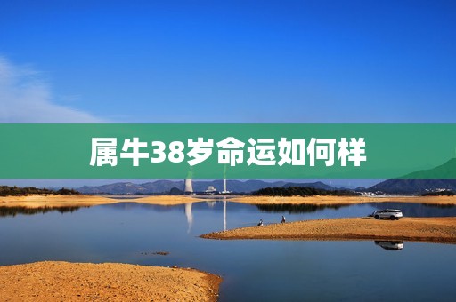 属牛38岁命运如何样