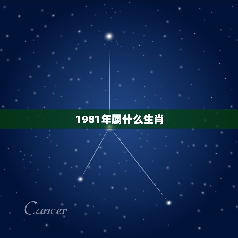 1981年属什么生肖