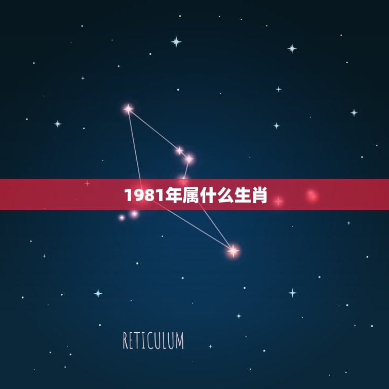 1981年属什么生肖