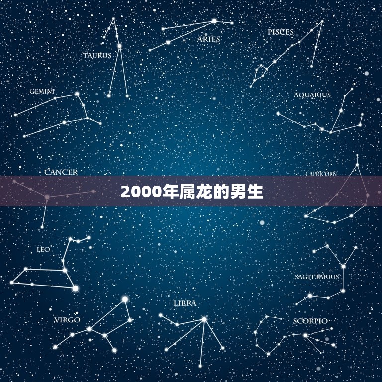 2000年属龙的男生