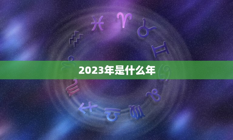 2023年是什么年