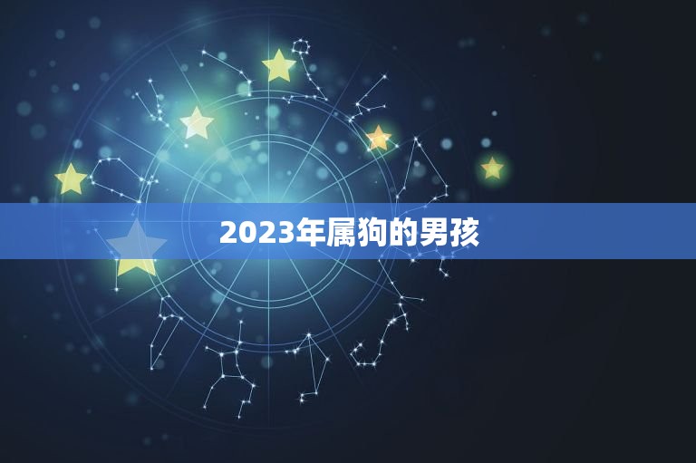 2023年属狗的男孩