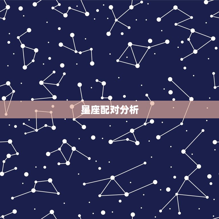 星座配对分析